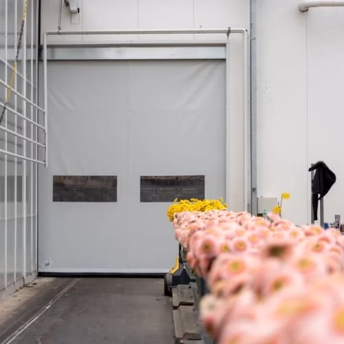  BMP PUERTAS RAPIDAS ENROLLABLES PUERTAS RAPIDAS DE LONA INSTALACION DE PUERTAS RAPIDAS CDMX MEXICO